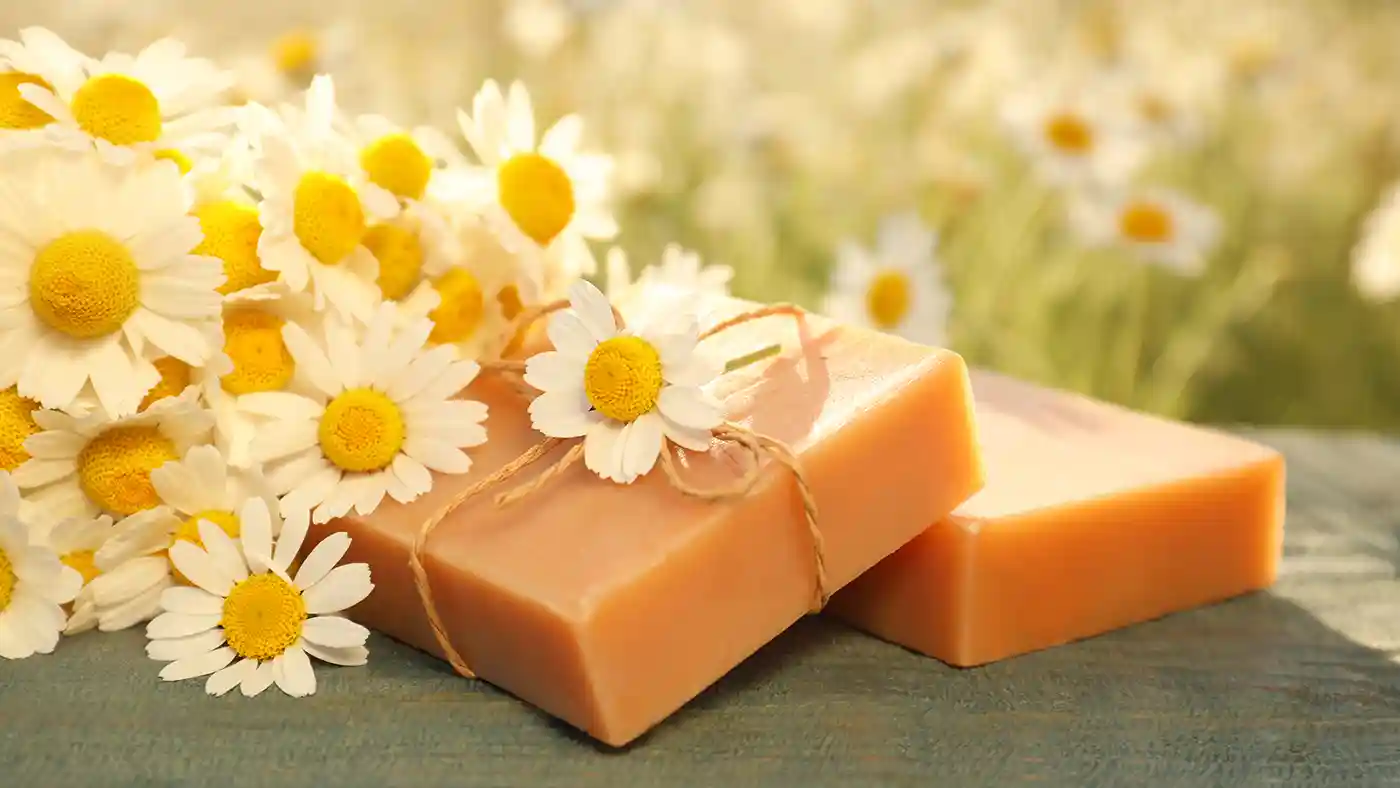 Brown soap bars under a bouquet of white daisies