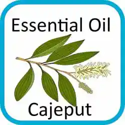 Icon Contains Essential Oils Cajeput