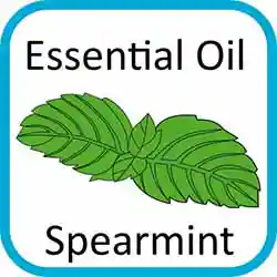 Icon Contains Essential Oils Spearmint