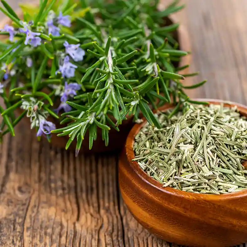 Rosemary twigs with flowers next to mortar and pestle with dried rosemary